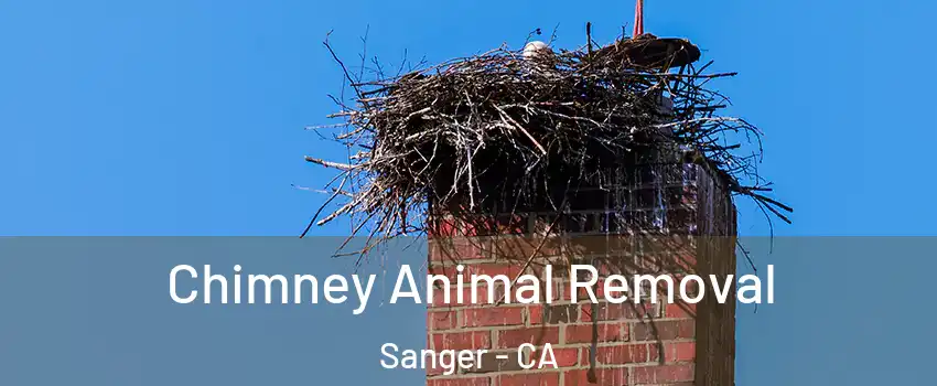 Chimney Animal Removal Sanger - CA