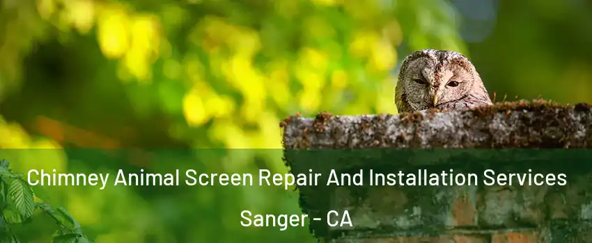  Chimney Animal Screen Repair And Installation Services Sanger - CA