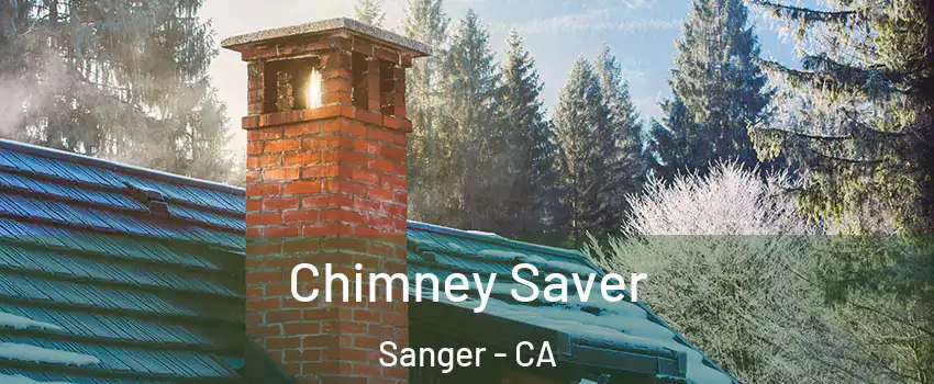  Chimney Saver Sanger - CA