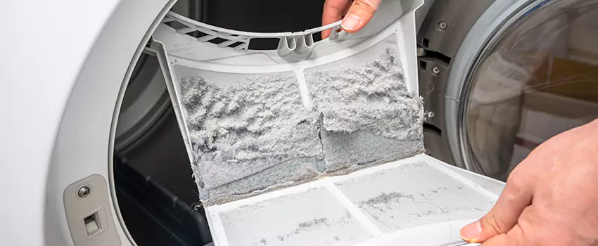 Best Dryer Lint Removal Company in Sanger, California