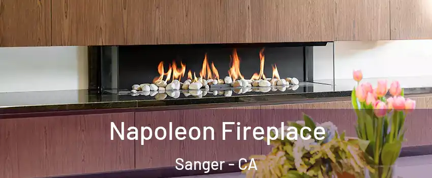  Napoleon Fireplace Sanger - CA